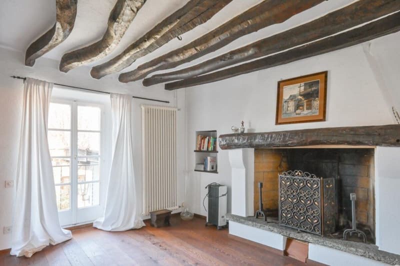Charmantes Tessiner-Haus mit grossem Grundstück (1)