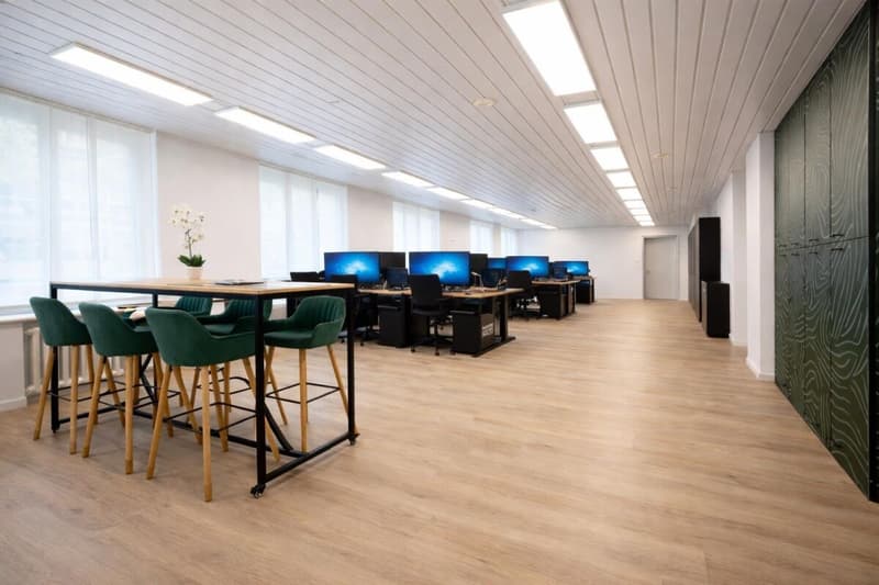 Renovated Office in a Prime Lakefront Location – 1 Minute from the FFS Train Station (1)