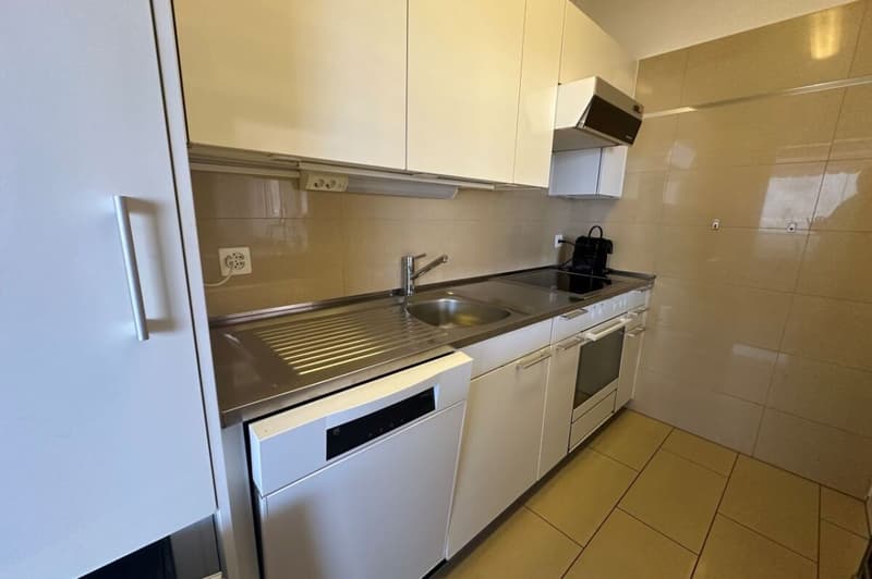 Appartamento ammobiliato 2.5 locali con splendida vista lago (7)