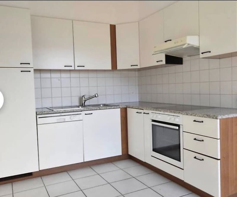 Affittasi appartamento 4.5 locali con vista aperta (2)