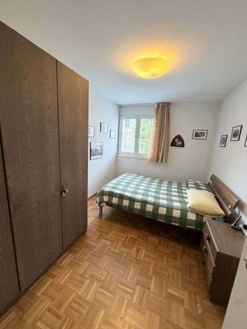 Affittasi appartamento 4.5 locali con vista lago (6)