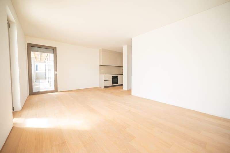 Affittasi appartamento 2.5 locali con balcone e raffrescamento (4)