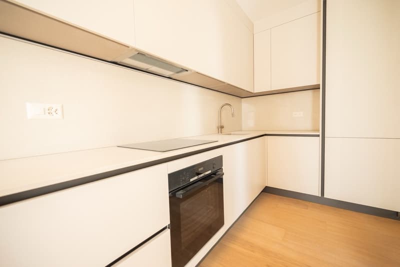 Affittasi appartamento 2.5 locali con balcone e raffrescamento (2)