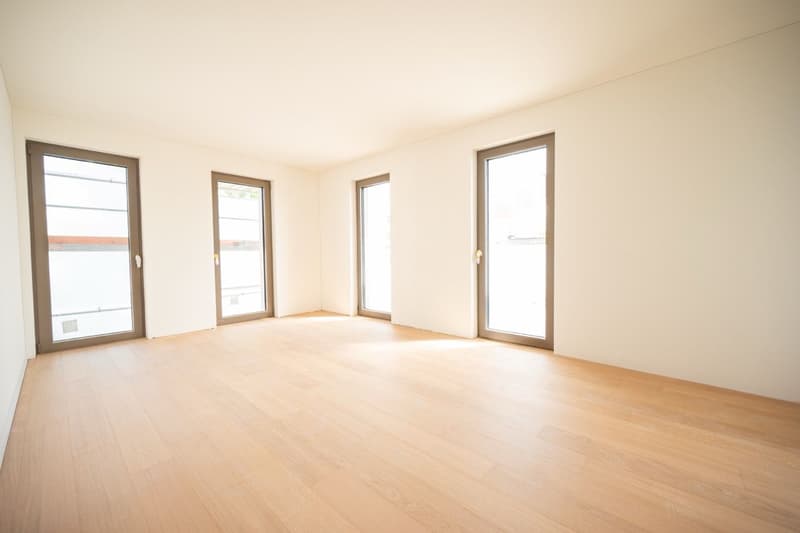 Affittasi appartamento 2.5 locali con balcone e raffrescamento (3)