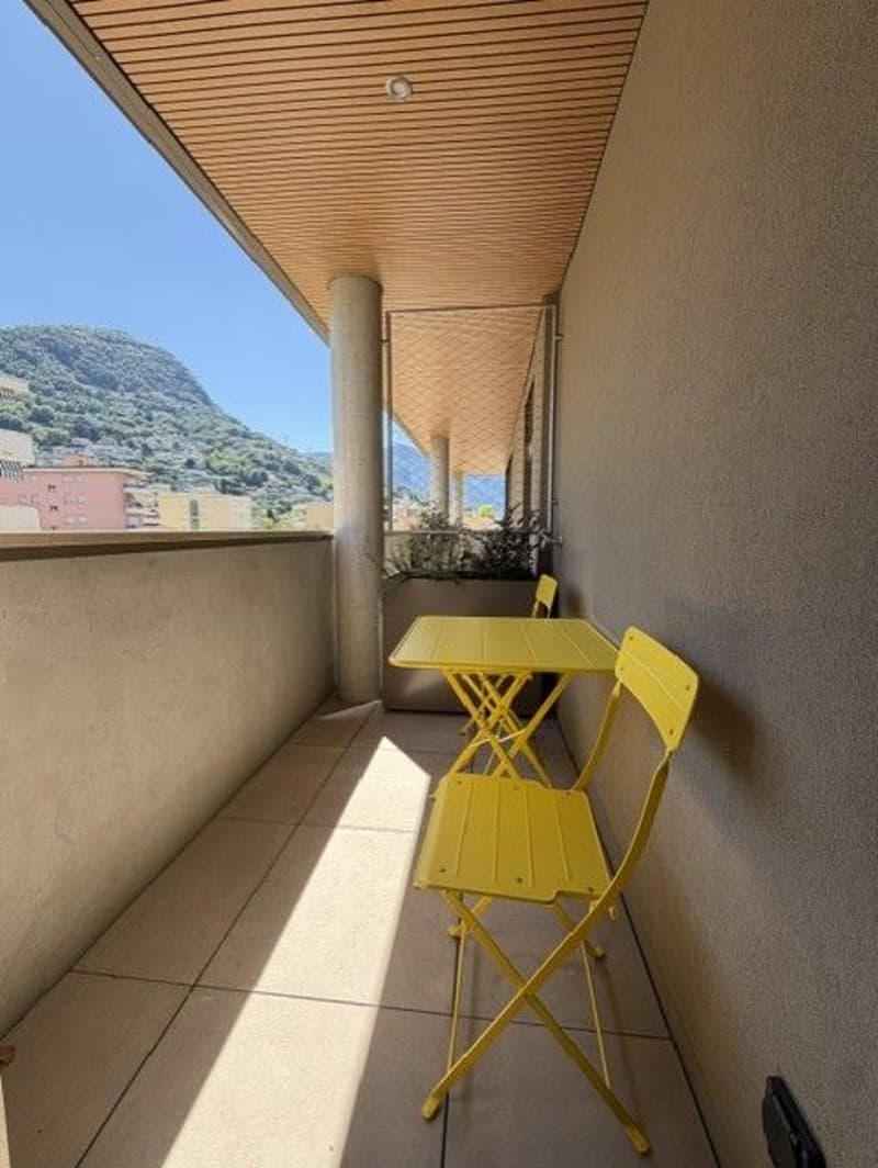 Affittasi appartamento 2.5 locali con balcone e raffrescamento (8)