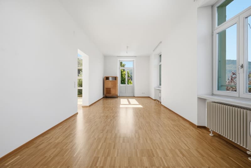 Affittasi incantevole duplex in villa storica a Tesserete (6)