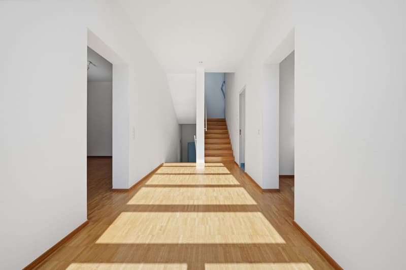 Affittasi incantevole duplex in villa storica a Tesserete (9)