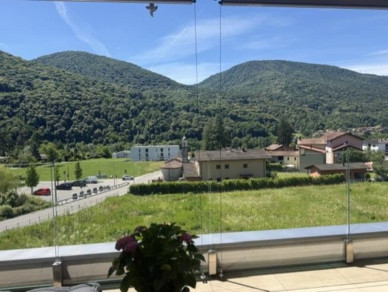 Affittasi appartamento 3.5 locali immerso nel verde (3)