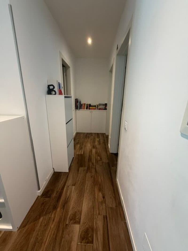 Affittasi appartamento 3.5 locali immerso nel verde (7)