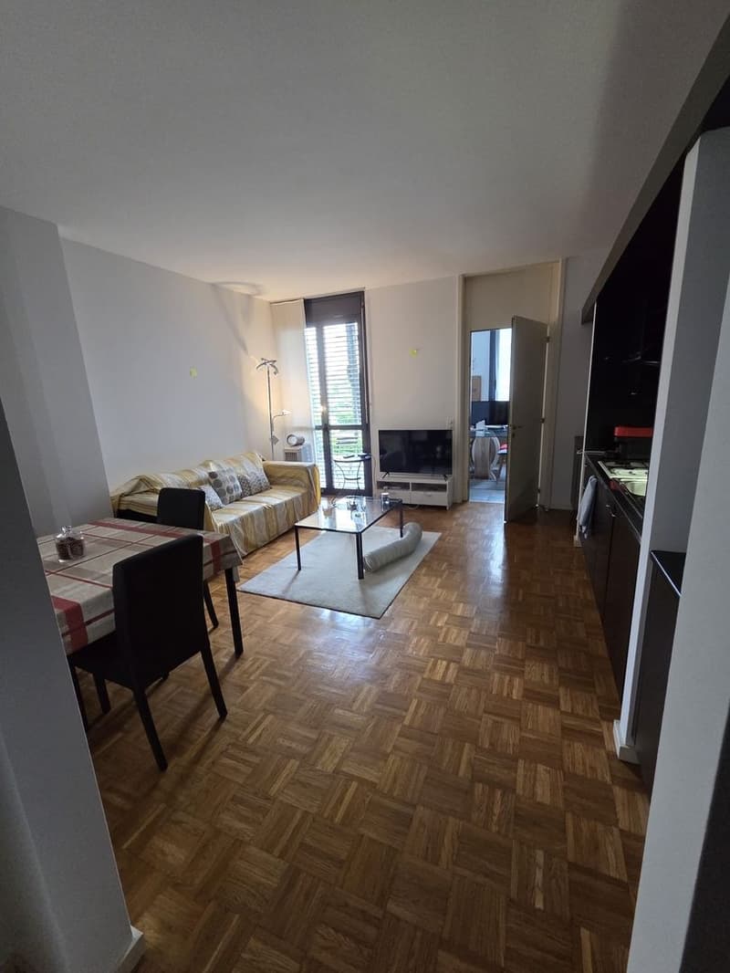 Fully Furnished 2.5-Room Apartment with Private Patio (2)