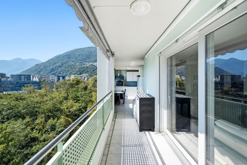 Wohnung mit 5,5 Zimmern und grünem Blick (1)