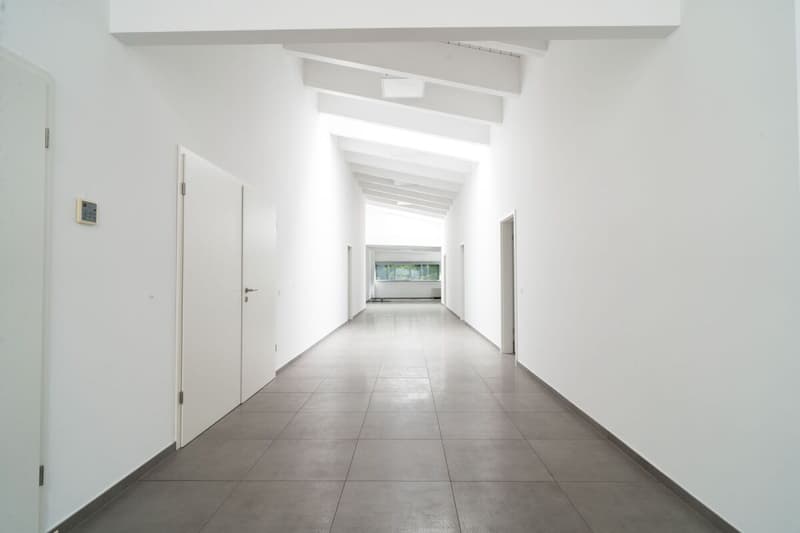Modern offices for rent (3)