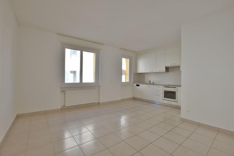 Appartement 3 pièces dans la commune de Bellinzona. (1)