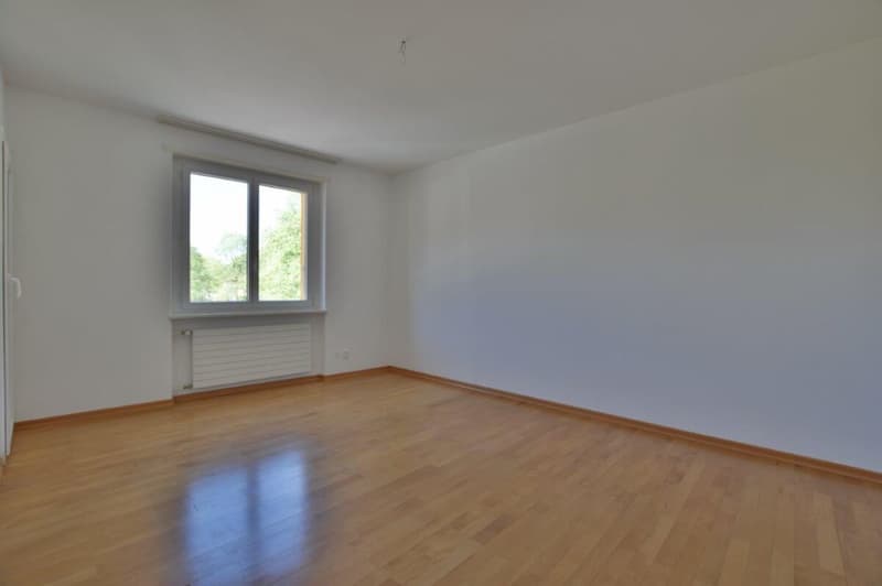 Appartement 3 pièces dans la commune de Bellinzona. (2)