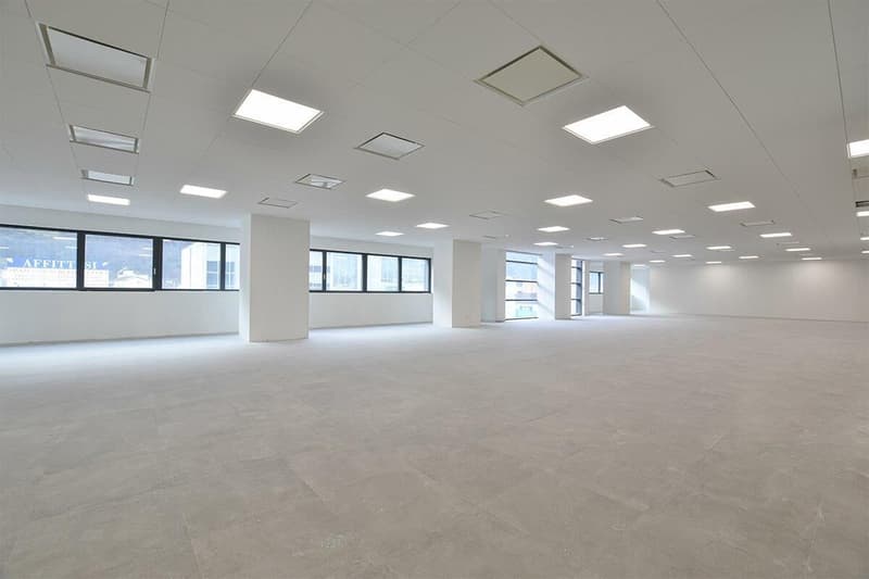 Espaces commerciaux dans une zone stratégique (3)