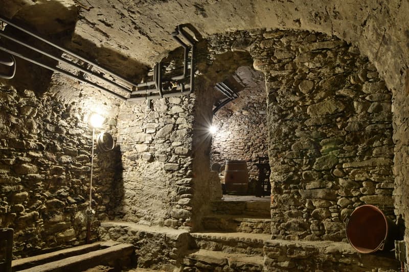 Caratteristico ristorante "Antica Osteria" (8)