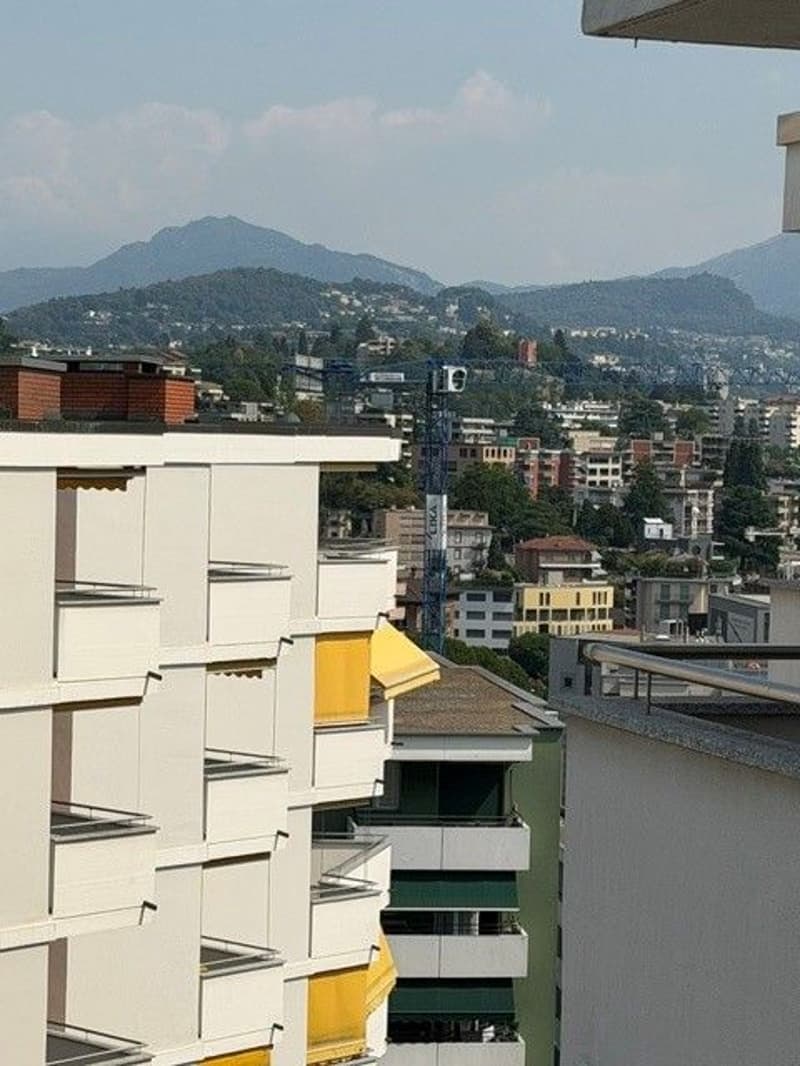 Affittassi appartamento di 1.5 locali con vista (1)