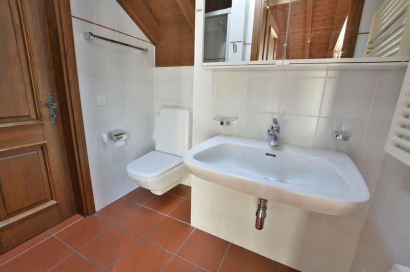 Maison individuelle caractéristique (9)