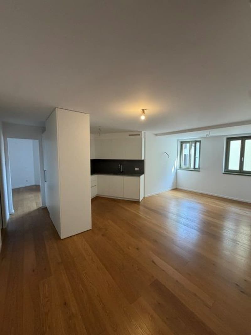 Central, calme et confortable – Appartement exclusif 2.5 pièces (2)