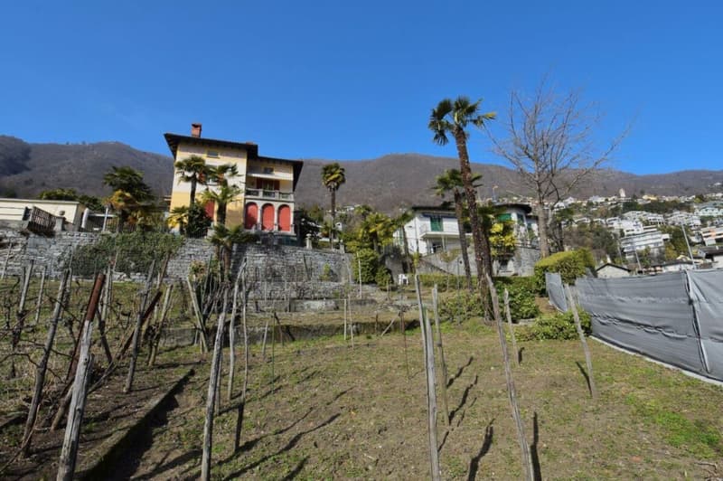 Maison multifamiliale historique avec terrain dans un excellent emplacement (1)