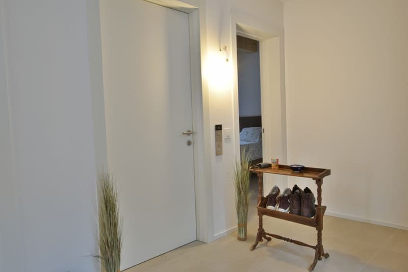 Prestigöse 3,5-Zimmer-Attikawohnung (10)