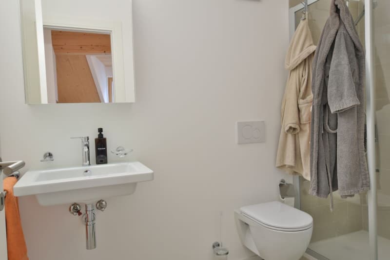 Prestigöse 3,5-Zimmer-Attikawohnung (11)