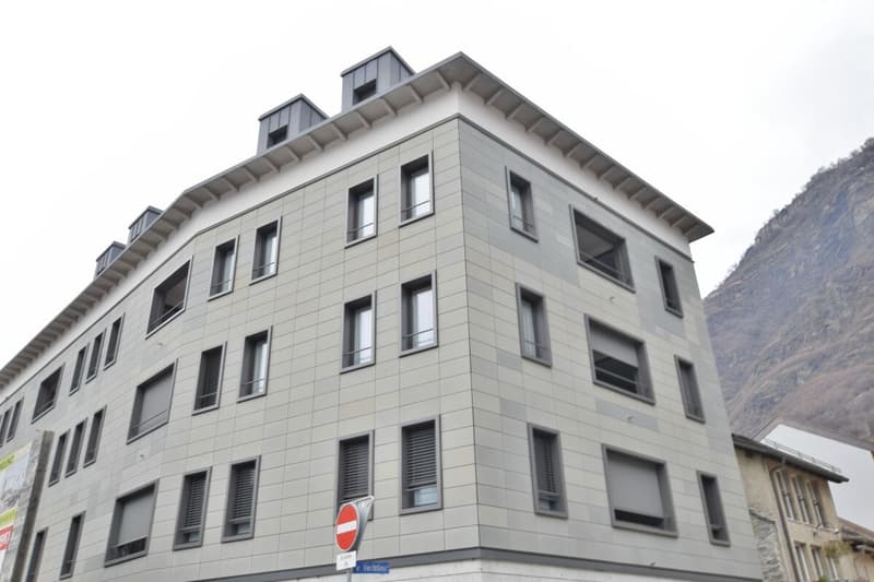 Prestigöse 3,5-Zimmer-Attikawohnung (2)