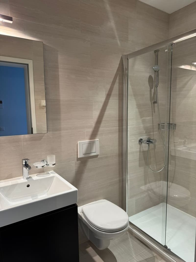 Bellinzona Zentrum – Exklusive 5.5-Zimmer-Duplexwohnung mit Cheminée und grosszügigen Terrassen (6)