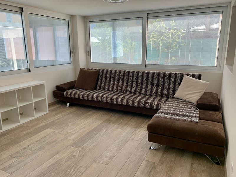 Affittasi esclusivo 3.5 locali in casa bifamiliare con giardino privato (3)