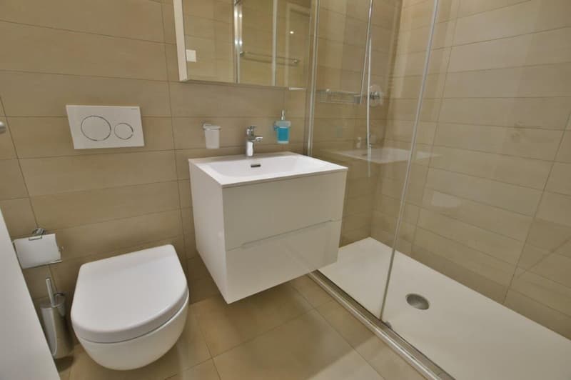 Wunderschöne 4.5-Zimmer-Wohnung in strategischer Lage (17)