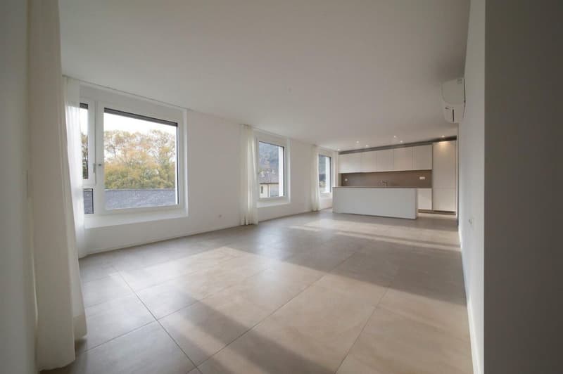 Wunderschöne 4.5-Zimmer-Wohnung in strategischer Lage (14)