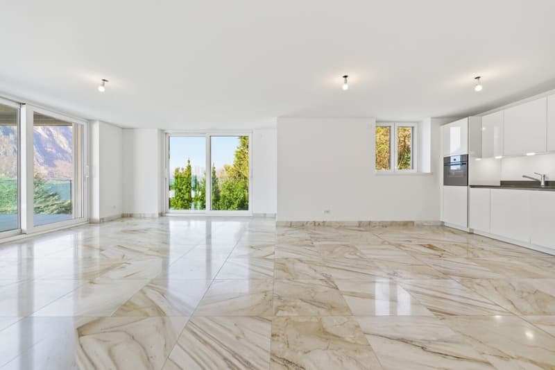 Residenza Ceresio 52: Attikawohnung mit grosser Panoramaterrasse (8)