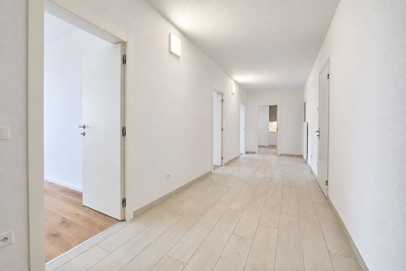 Splendido 3.5 locali completamente rinnovato (8)