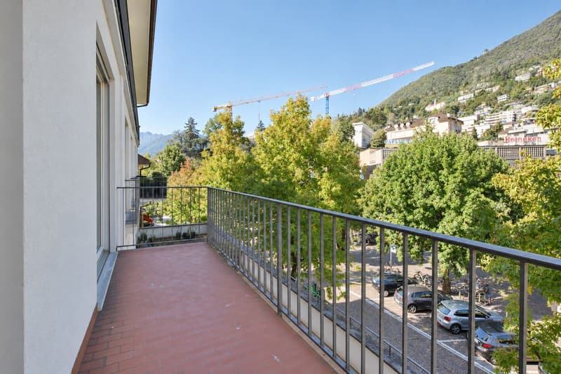 Splendido 3.5 locali completamente rinnovato (2)