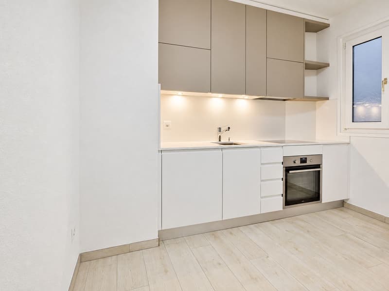 Splendido 3.5 locali completamente rinnovato (5)