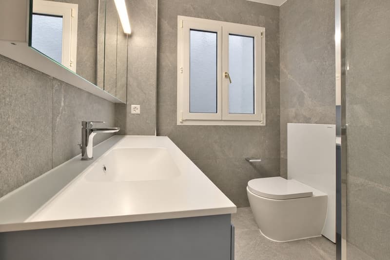 Splendido 3.5 locali completamente rinnovato (11)