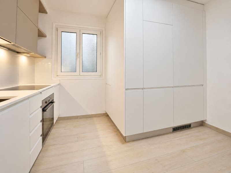 Splendido 3.5 locali completamente rinnovato (6)