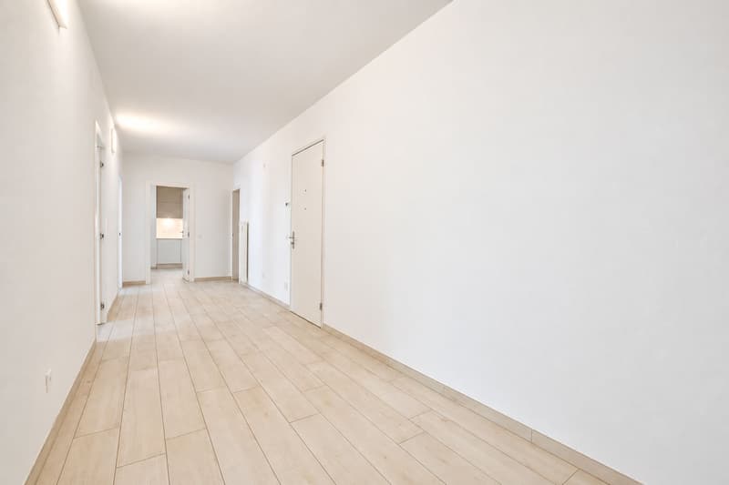 Splendido 3.5 locali completamente rinnovato (7)