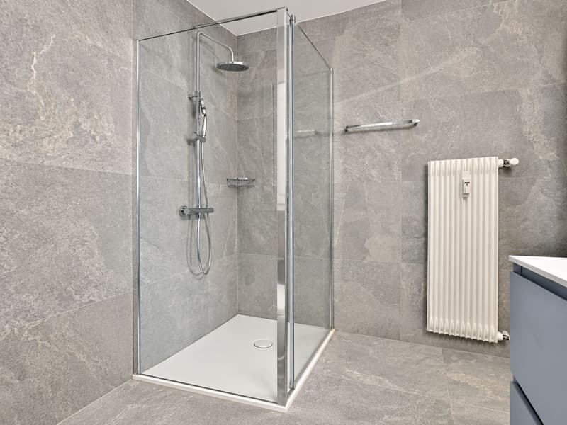 Splendido 3.5 locali completamente rinnovato (12)