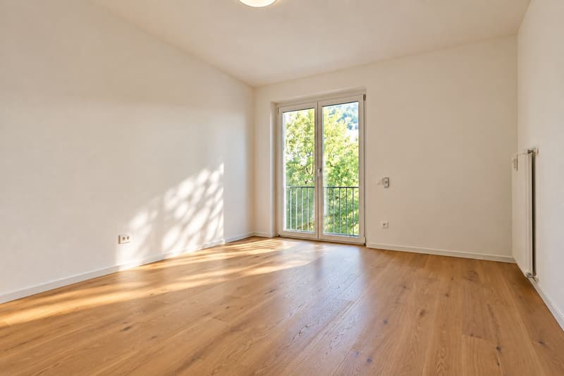 Splendido 3.5 locali completamente rinnovato (10)