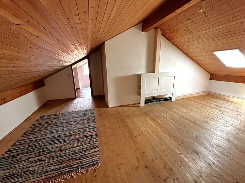 Affascinante appartamento duplex di 4 locali immerso nella tranquillità di Breno (9)