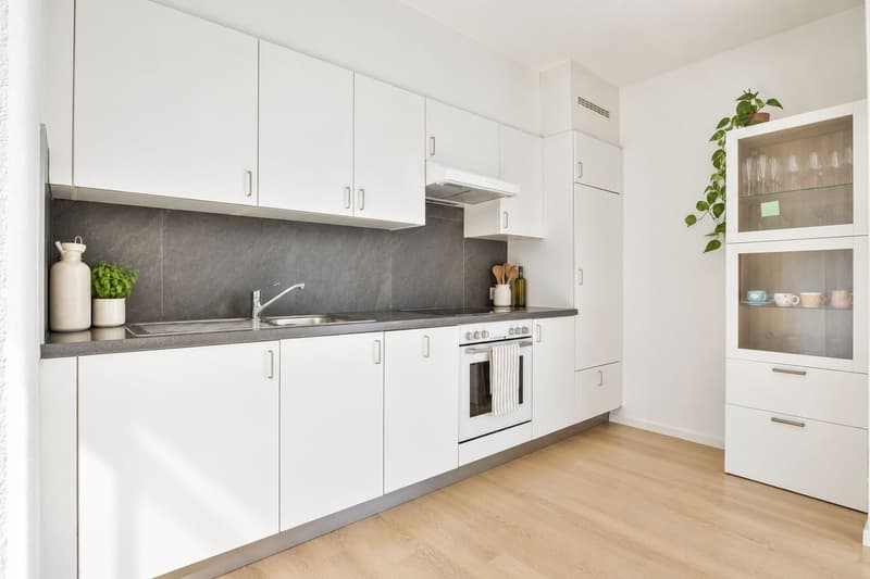Helle, renovierte 3.5-Zimmer-Wohnung (4)