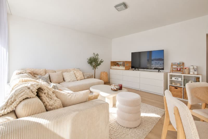 Helle, renovierte 3.5-Zimmer-Wohnung (3)