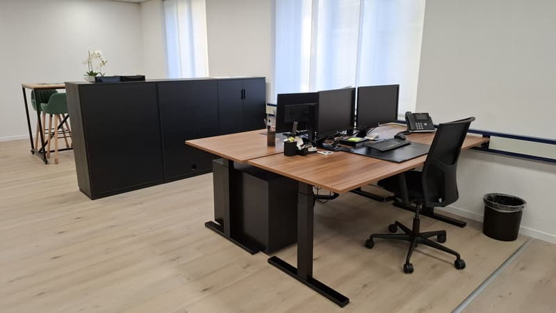 Flexible Office Space & Co-working Desks for Rent in a Prime Lakeside Location – 1 Minute from the FFS Train Station (3)
