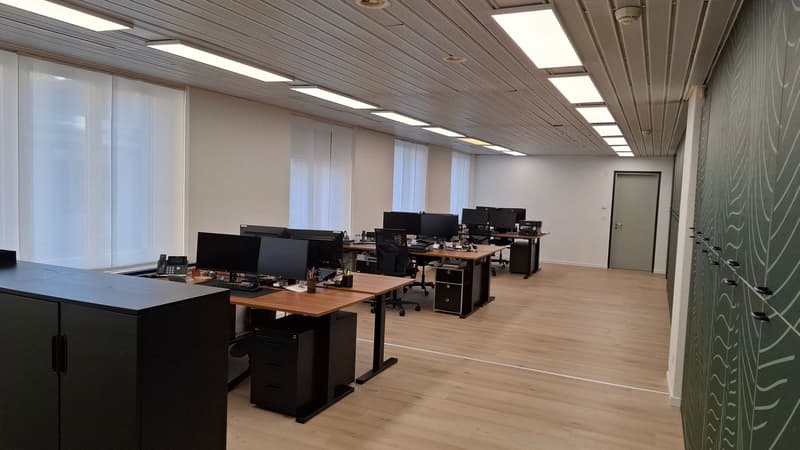Flexible Office Space & Co-working Desks for Rent in a Prime Lakeside Location – 1 Minute from the FFS Train Station (2)