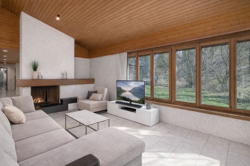 Unique single-family house with separate apartment (6)