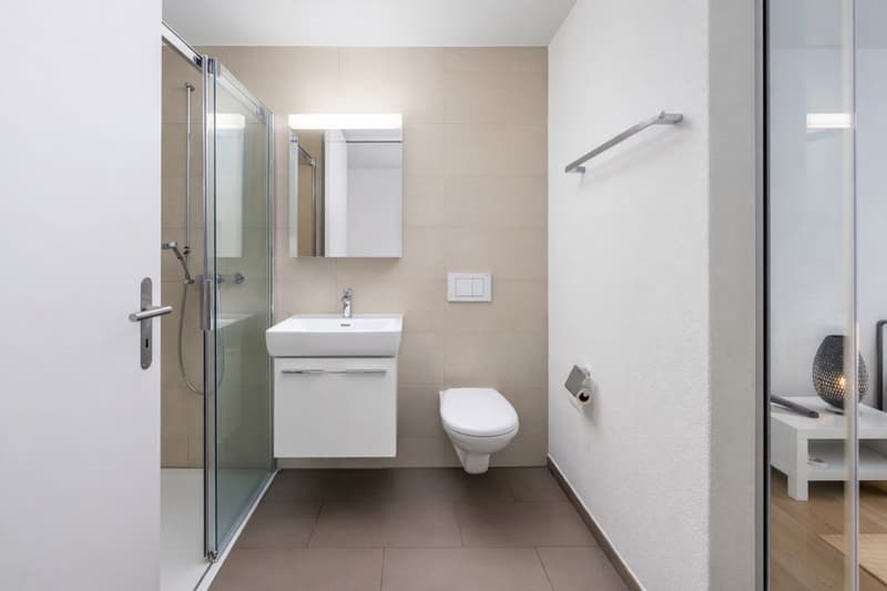 Modern living with style and comfort (4)