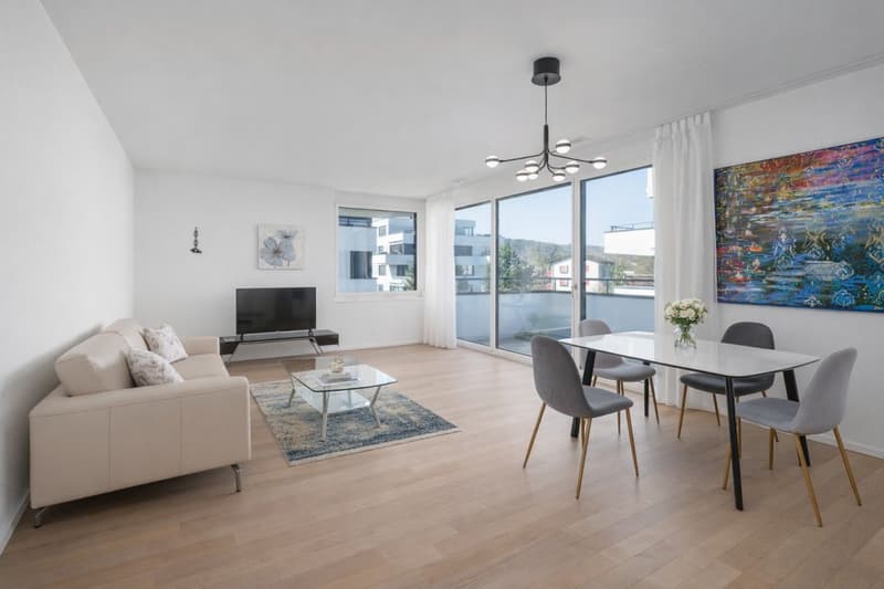 Modern living with style and comfort (2)