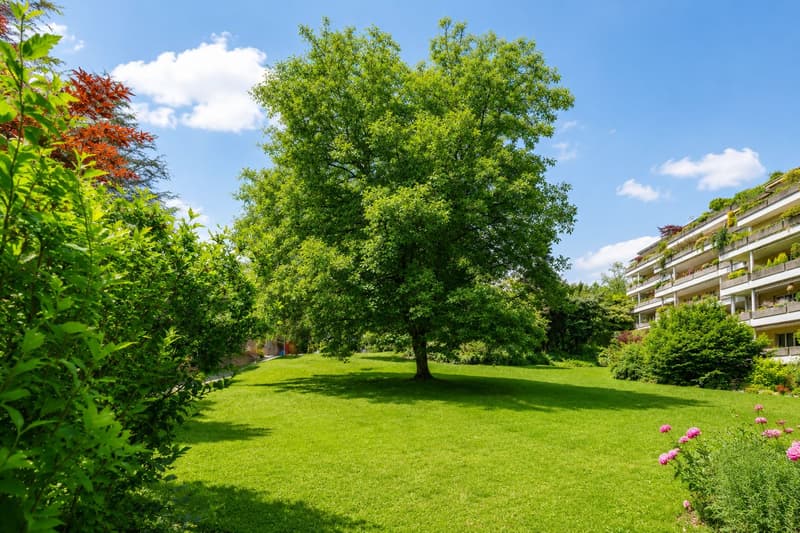 Idyllic garden apartment with potential (7)