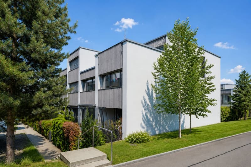 Modernes Reiheneckhaus mit Dachterrasse (1)